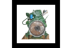 DSC_0228.png